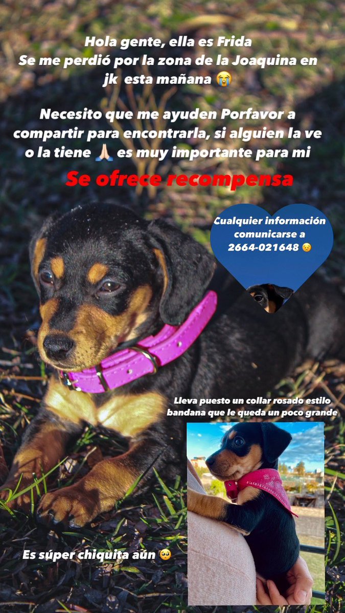AÚN NO APARECE! ME AYUDARÍAN MICHO CON UN RT 😣🙌🏻
