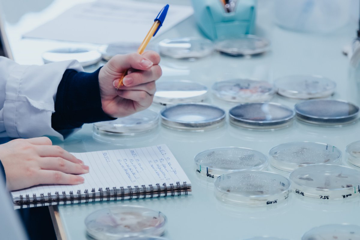 🚨 Avis aux futurs ingénieurs/BUT2, dernière ligne droite pour les inscriptions à l' ESIAB pour la rentrée prochaine: 🚀 30 mai 2023. 

- Ingénieur ᴍɪᴄʀᴏʙɪᴏʟᴏɢɪᴇ ᴇᴛ ǫᴜᴀʟɪᴛᴇ
- Ingénieur ᴀɢʀᴏᴀʟɪᴍᴇɴᴛᴀɪʀᴇ à Quimper 

<a href="/ESIABatlantique/">ESIAB</a> <a href="/UBO_UnivBrest/">UBO - Univ. Brest</a>