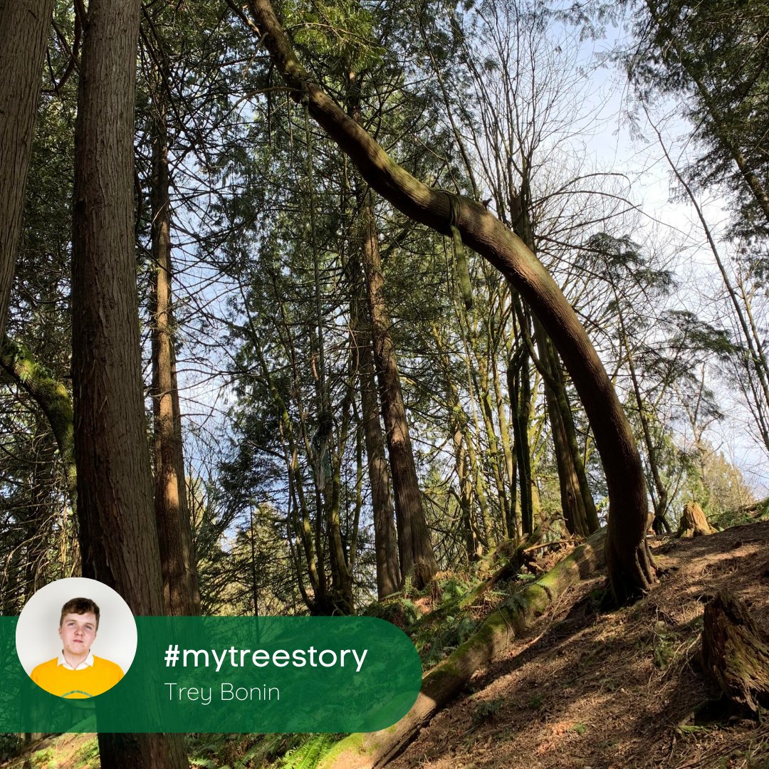 EcoTreeMe's tweet image. Every #tree has a story, this is Trey&apos;s:

&quot;As this tree has been here for hundreds of years before my family moved to the area, I have always been able to appreciate its sheer beauty over the years!&quot;

#mytreestory