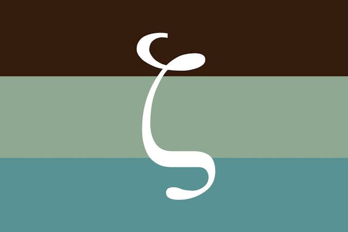 wictoar's tweet image. ⚠️Guys! We are already approaching Pride Month, remember that these flags are ZOOPHILIA flags! 

Do not accept drawing YCH and Commissions Using this Sh1t!