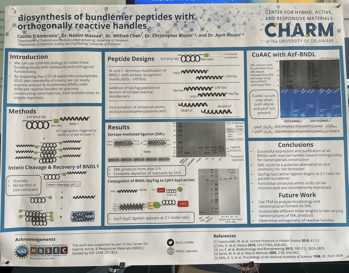 Caitlin D’Ambrosio (@caitlindambro) on Twitter photo Lots of fun sharing the work I’ve done with <a href="/WilfredChen1/">Wilfred Chen</a> <a href="/AKloxinGroup/">April Kloxin Group</a> and <a href="/CJKloxinLab/">Chris Kloxin Lab</a> to the <a href="/UD_CHARM/">Center for Hybrid, Active, & Responsive Materials</a> community today!🧬👩🏼🔬 Lots of fun sharing the work I’ve done with <a href="/WilfredChen1/">Wilfred Chen</a> <a href="/AKloxinGroup/">April Kloxin Group</a> and <a href="/CJKloxinLab/">Chris Kloxin Lab</a> to the <a href="/UD_CHARM/">Center for Hybrid, Active, & Responsive Materials</a> community today!🧬👩🏼🔬
