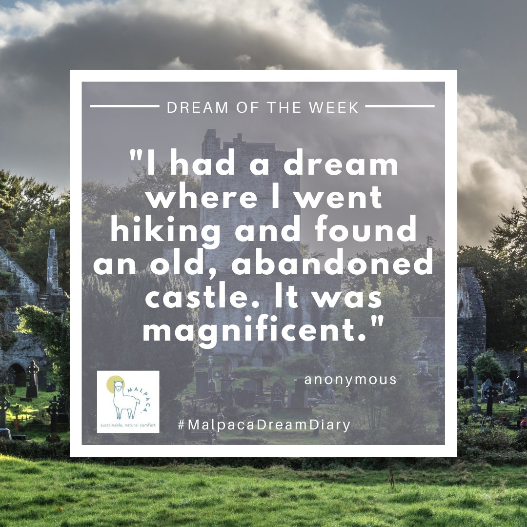 Can you imagine finding a gem like this on a hike? ✨🏰 Share your most enchanting dream discoveries in the comments below! 

#MalpacaDreamDiary #DreamDiary #CastleExploration #MagicalMoments #ImaginationUnleashed