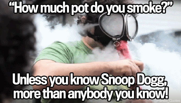 PandS_quotes's tweet photo. "How much pot do you smoke?" -Pete's Doctor "Unless you know Snoop Dogg, more than anybody you know, guy!" @mycorreale #EP554 https://t.co/w6oZU6Xlyk