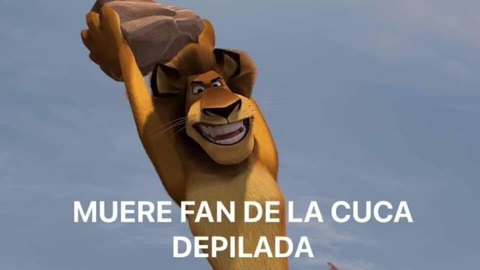 Wey jajajajajaja https://t.co/pidjFybdM7<a href="/tag/nuevafotodeperfil"class="tags"><span>#nuevafotodeperfil</span></a>