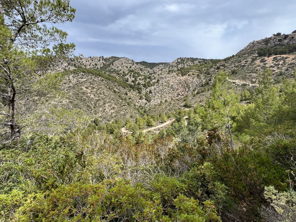 Tough but amazing walks in Majorca today🥵👌🏼