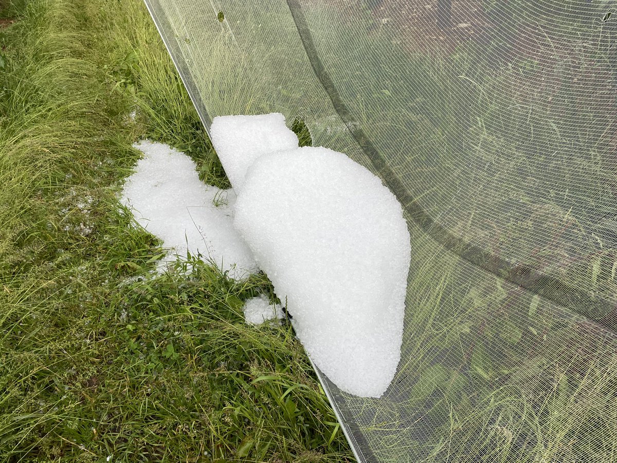 Julien Giraud tweet media