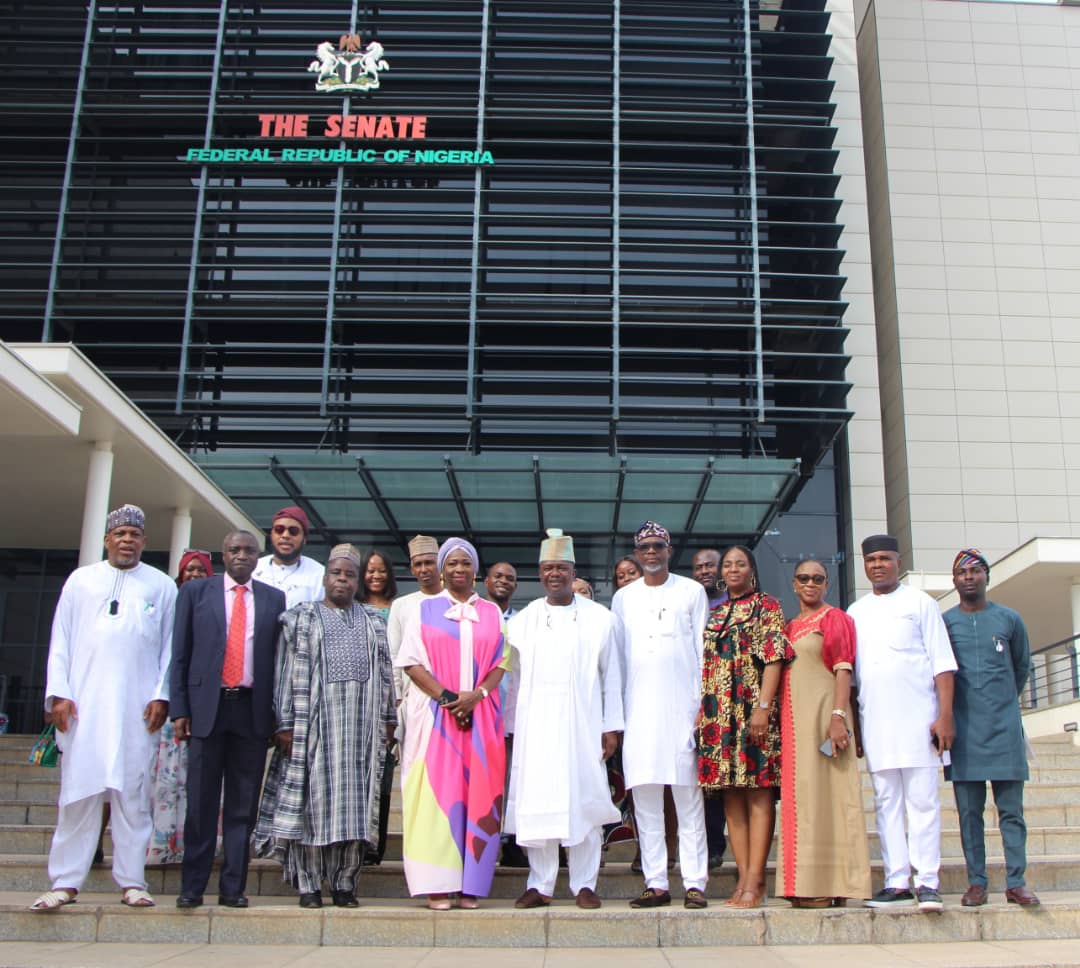 Hon. Dr @abikedabiri-Erewa, OON appeared before the Senate Committee on Diaspora and NGOs for CONFIRMATION of her REAPPOINTMENT as Nigerians in Diaspora Commission Chairman/CEO.

@idon_akogun @gsbabatunde @bashirobasekola @NIDOEurope1 @isaajibola @jarmari01 @VisserLola