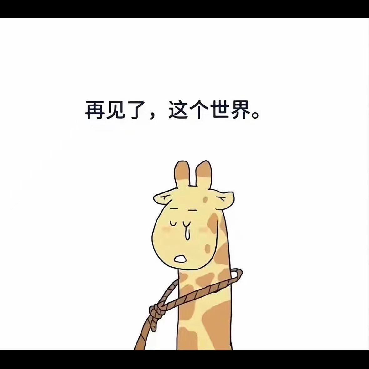 YiZhan69's tweet photo. https://t.co/Le5zARA89v