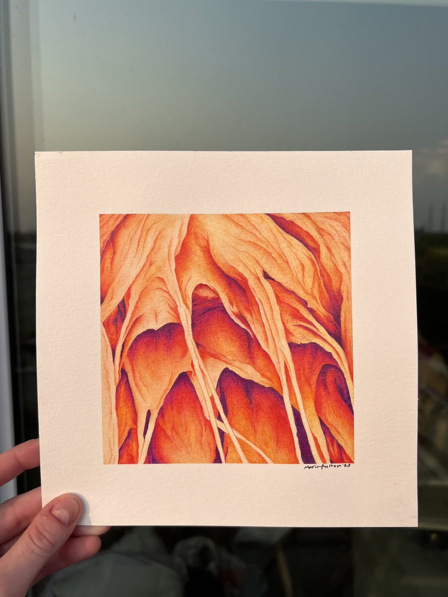 Maria Fulton tweet media