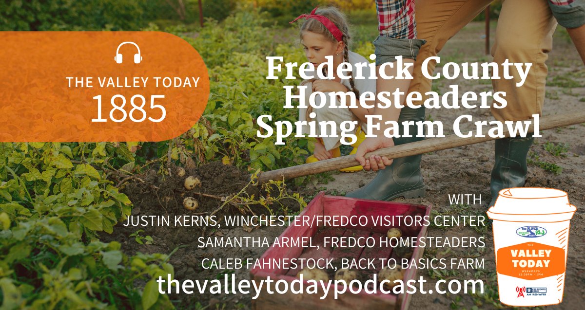 It's okay if you missed #TheValleyToday this afternoon with <a href="/VisitorsCenter/">Winchester VA</a> bc you can still listen here: bit.ly/3Wv8HnM but it won't be okay if you miss out on an opportunity to participate in the #FrederickCountyHomesteaders #FarmCrawl on June 17. 🎧for details.