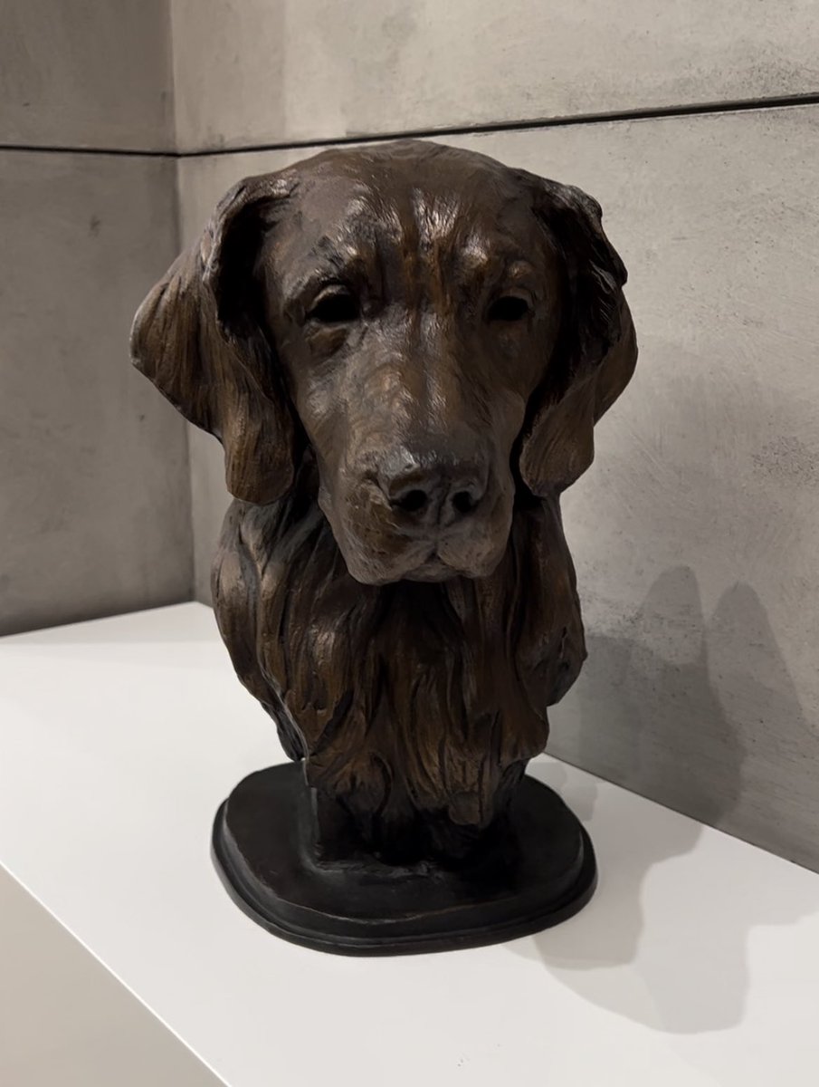 AKC Museum of the Dog tweet media