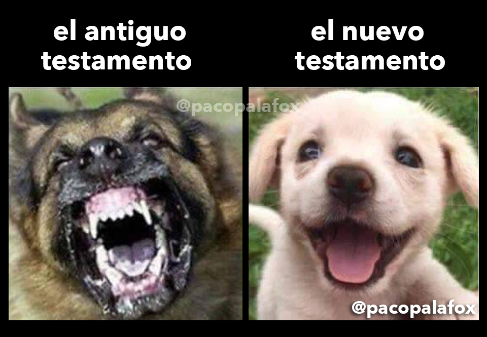 pacopalafox's tweet photo. Multiple personalidad. https://t.co/lniKotkvck