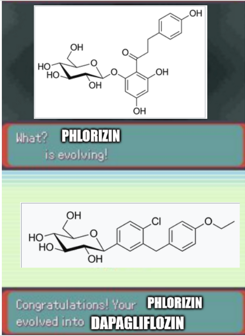 making kidney memes instead of working on the meat of my presentation: some things never change