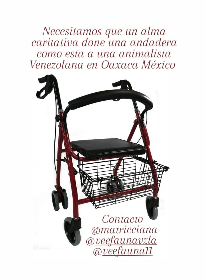 MariaConchita_A's tweet photo. Quien podría colaborar? Por lo menos RT, por favor? Gracias! @RocioBanquells
@DanielaRomoWeb
@AnimaNat_Mexico @HSI_Mexico @MUPRA_Mexico @Piolines_De_MC @AdoptameNaucal1 @AdoptaAtizapan @adoptagdl @matricciananew (contacta por las cuentas en Instagram)
#Oaxaca #México #veefauna https://t.co/W97dGGbQuZ