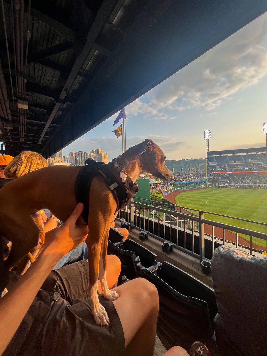 EvanSchall's tweet photo. Scouts have concerns about his size but there are no questions he has elite-level speed. 

Taking in all the scenes at Pups in the Park ⚾️

@Pirates | #LetsGoBucs https://t.co/REQxaoXofC