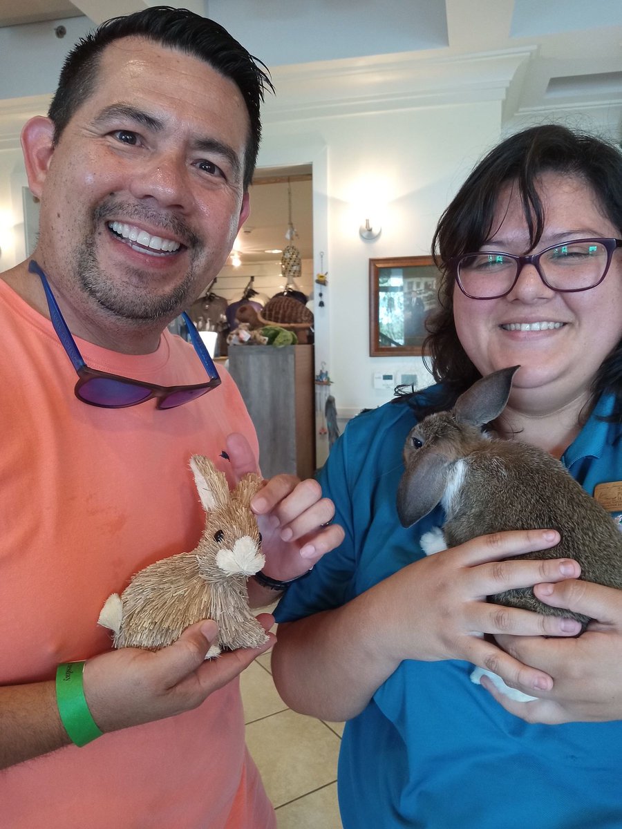 spibirding's tweet photo. Today’s shenanigans brought to you by, Star, our cutie patootie residential rabbit. Here is Star trying to race a stuffed tortoise up the staircase. Say hi to Ray Escobar, from San Antonio, TX! Here he is slyly trying to convince Star to be his best friend. Star says come on over https://t.co/8BXQY5BRTX