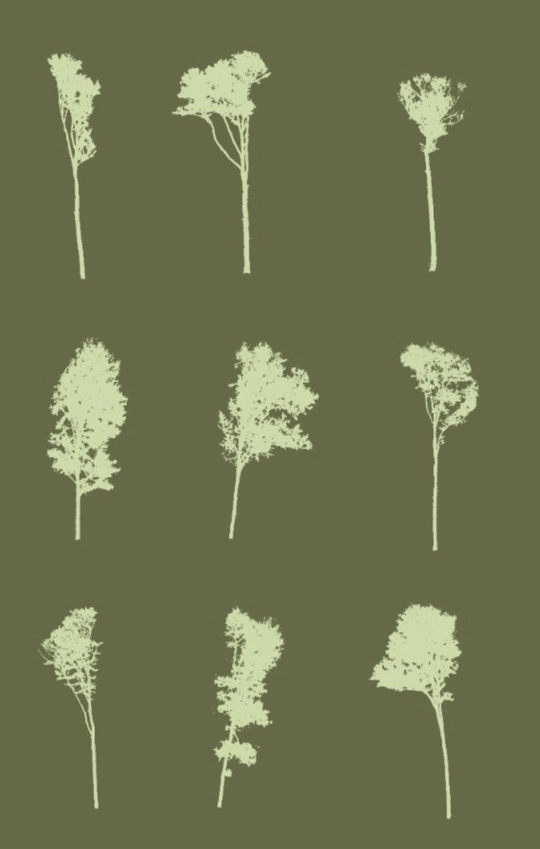 NicholasCranme1's tweet photo. Leveraged my brother’s graphic design skills for some of my study trees scanned with LIDAR! Excited to incorporate them into a slideshow! https://t.co/H3usH4m9aG