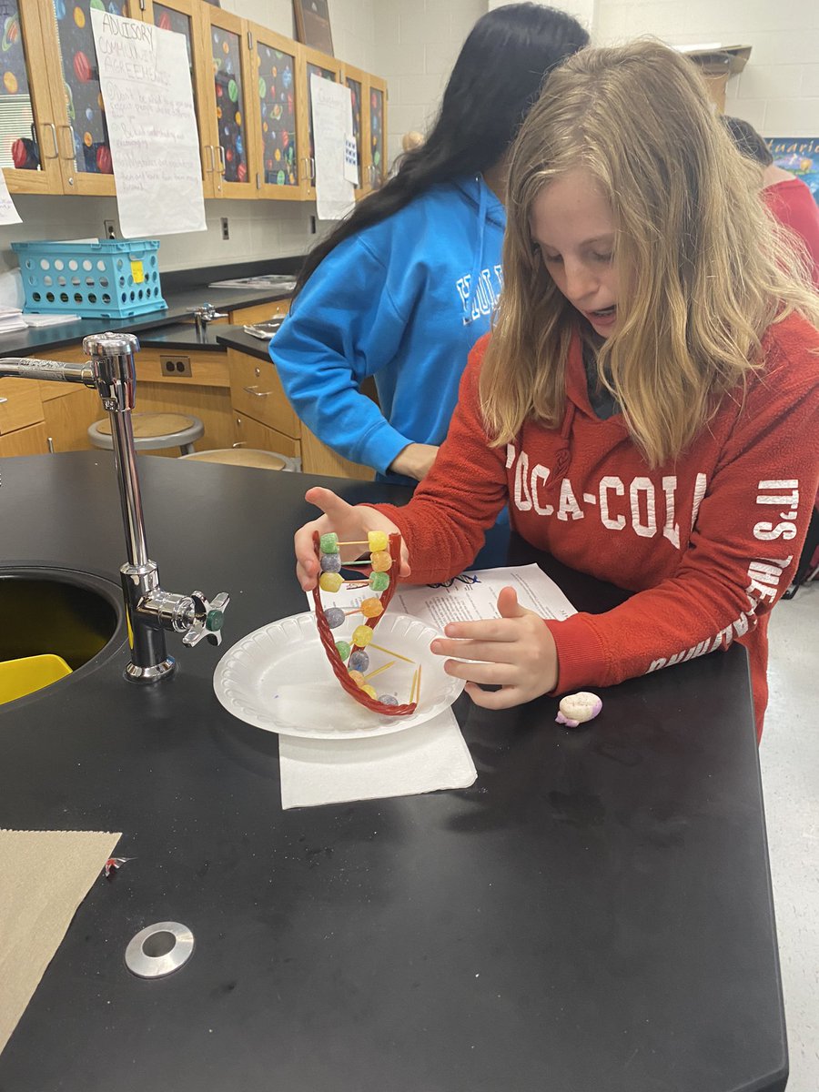 Today 7th graders built DNA models! We discussed the importance of using models in Science, especially Genetics! <a href="/CalvertMSCCPS/">CalvertMSCCPS</a>