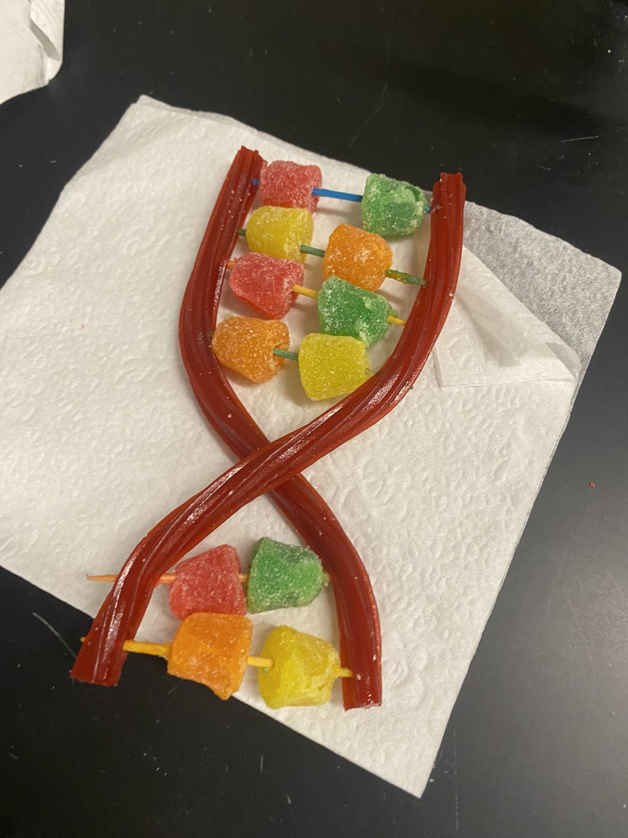 HFallica's tweet photo. Today 7th graders built DNA models! We discussed the importance of using models in Science, especially Genetics! @CalvertMSCCPS https://t.co/yPeThFWQ9X