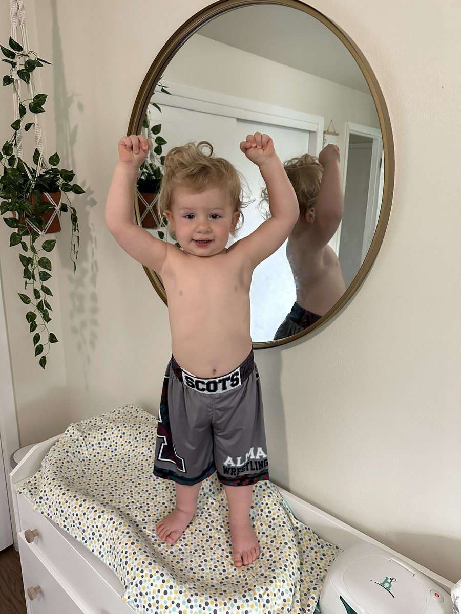 the_rogue_wolfe's tweet photo. #WrestlingShirtADayInMay 
Thank you for the shorts @AlmaScotsWrestl https://t.co/Q0d125z8G2