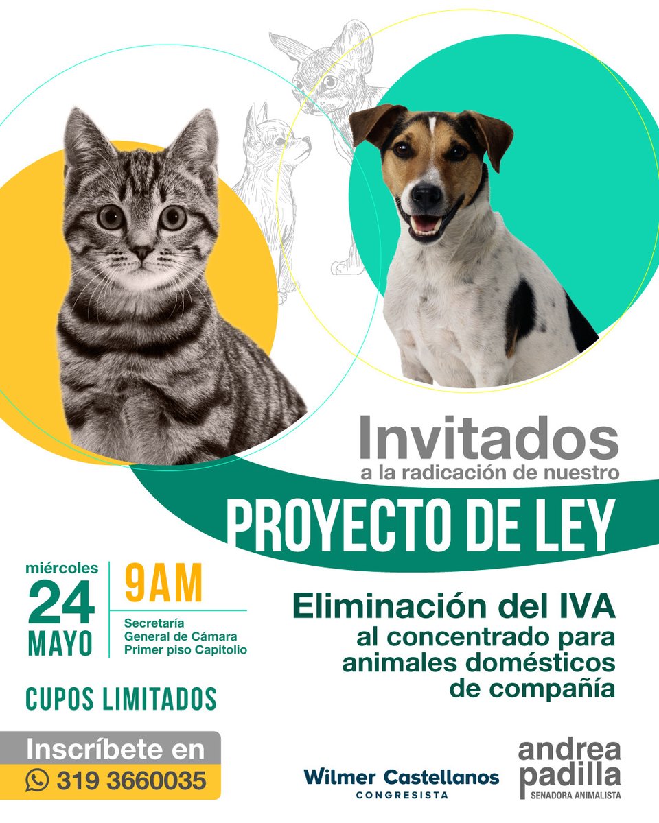 andreanimalidad's tweet photo. Mañana, miércoles 24 de mayo, 9AM, radicaremos un proyecto de ley para que el alimento de nuestros amados animales de compañía esté exento de IVA ¡Si nos quieren acompañar, son más que invitadas/os!
🐱🐶❤️ https://t.co/ipkggQBO0o