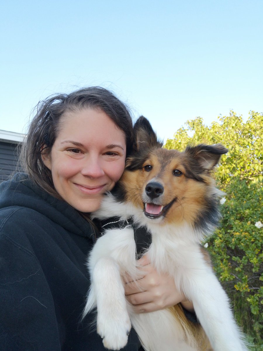 🪝 Joshua Keep ⚙️ tweet media