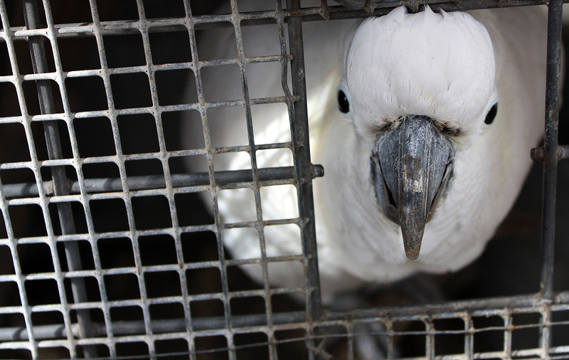 actionskills's tweet image. Email Deliverability - The two most important words for digital campaigners in 2023!

Email is the backbone of digital campaigning and if you are not across "Email Deliverability", your email messages are getting blocked.

actionskills.co/email-delivera…