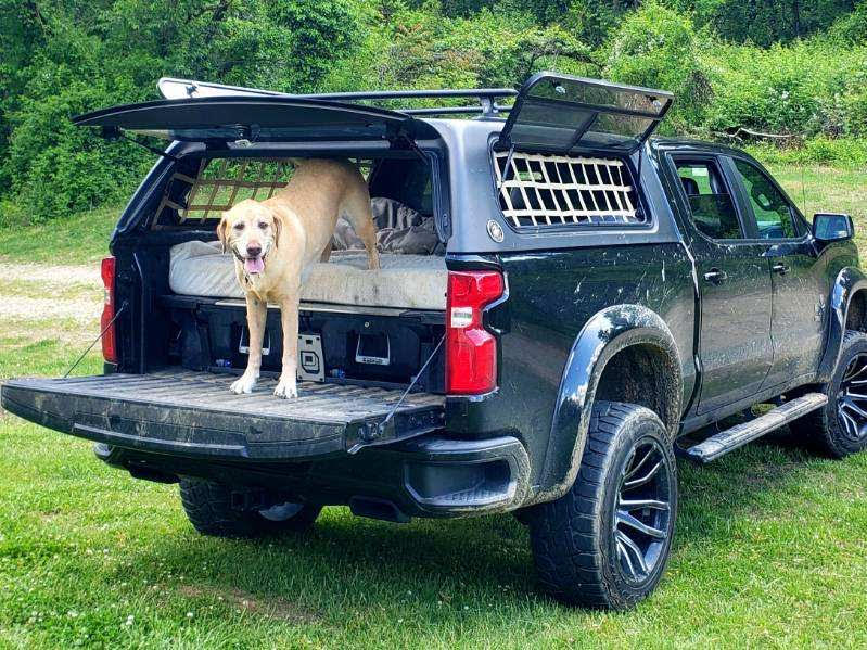 RainglerNets's tweet photo. This customer loves to take his dogs with him, Raingler Nets gives him the security &amp; safety needed. Leave the windows open &amp; let fresh air in without the dogs getting out. See what we make for your vehicle at https://t.co/0aL1kMliXS 
#customnets #dogbarriernet #travelingwithdogs https://t.co/c7qStGJJI0