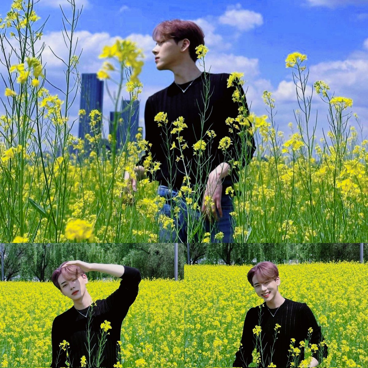 #Beautiful #flower 🌻🌻🌼🌼
#Junghyun 🌼🌼