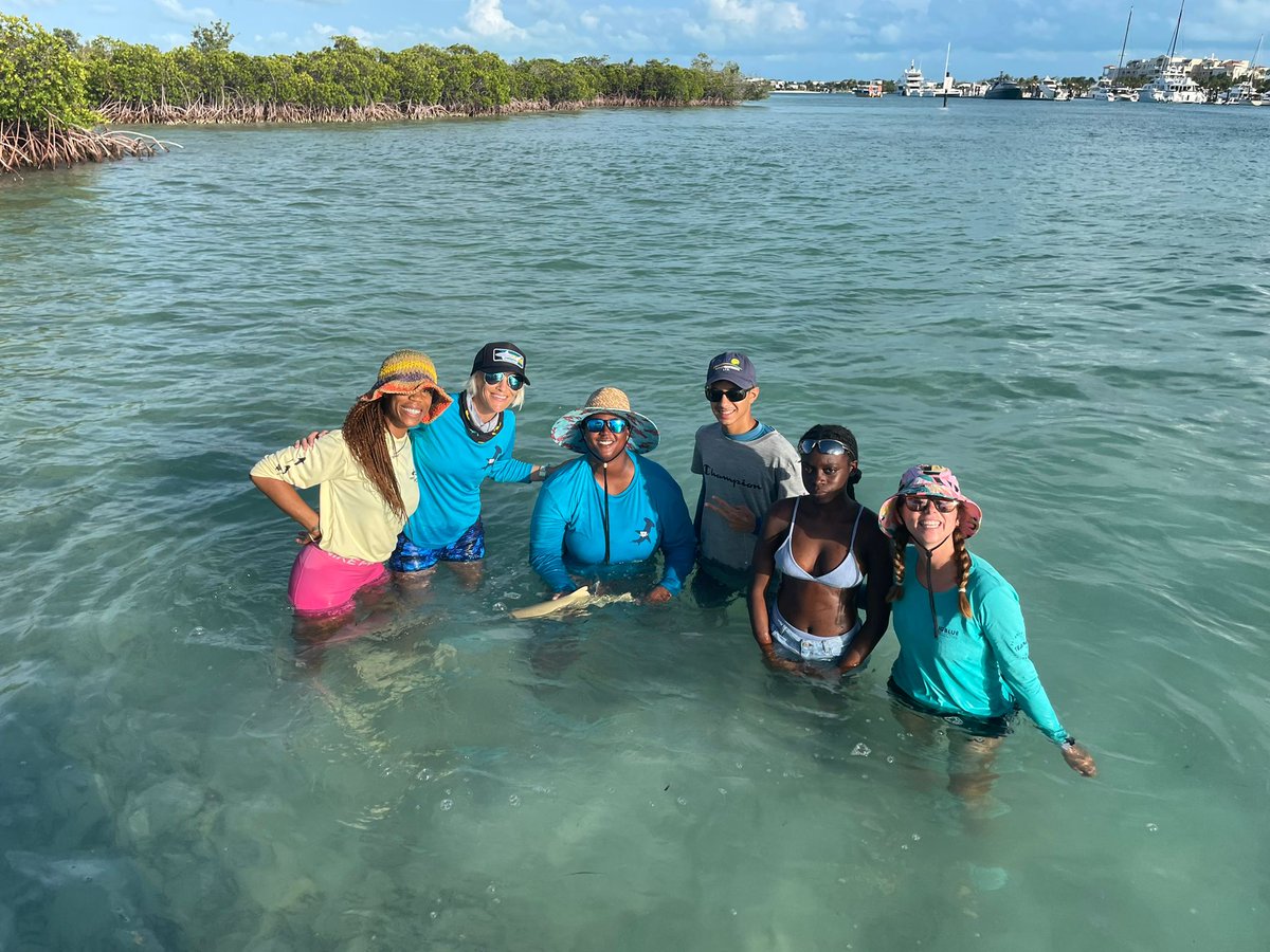 Sharks4Kids's tweet photo. Our team is in Turks and Caicos for #ProjectLemonAid 2023. We've been taking students in the field with us and visiting schools. Make sure to stay tuned for more updates.
Collab w/ @BigBlueTCI
@saveourseas @sandalsfdn @RockTheOcean
#sharkscience #sharkeducation #lemonsharks https://t.co/TaE01BCGZF