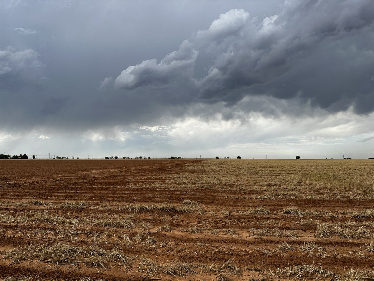BryanTheFarmer's tweet image. Dear @NWS, you might want to turn your radar down….you issued a severe thunderstorm warning for Sudan….this is your cloud. Thanks the dry farmers of Lamb county.
