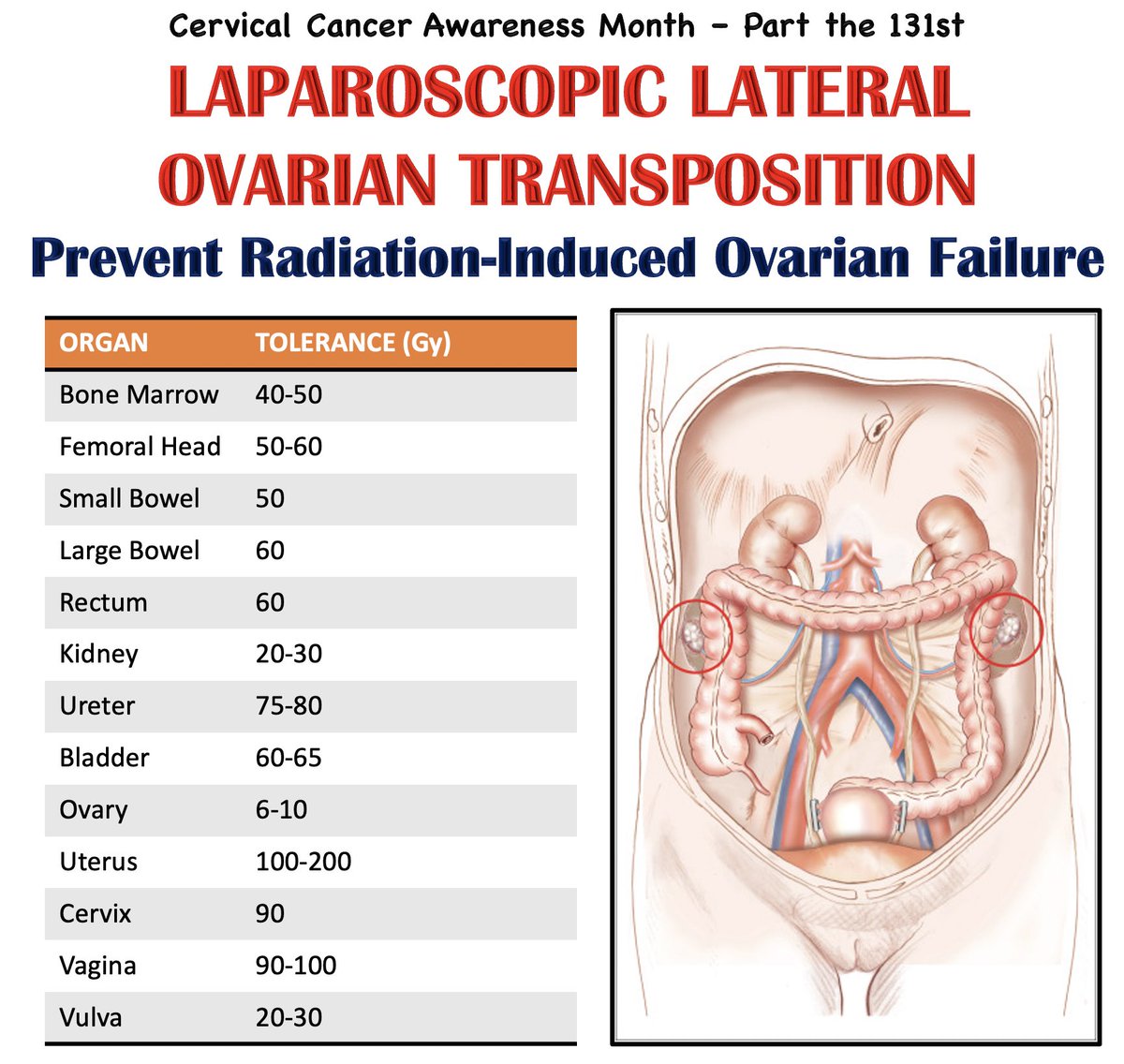 Krish Tewari, MD (@drtewari) on Twitter photo 