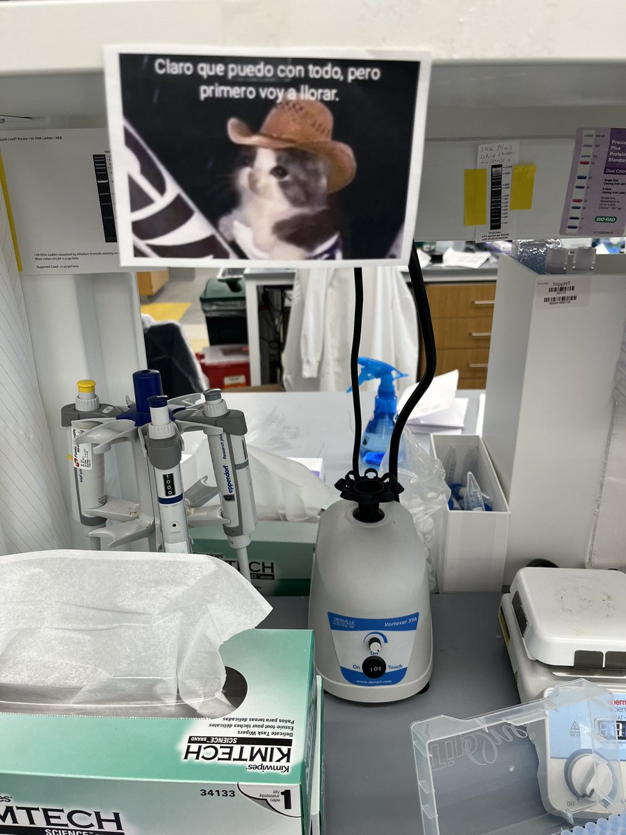 ✨Inspirational quotes at the bench✨