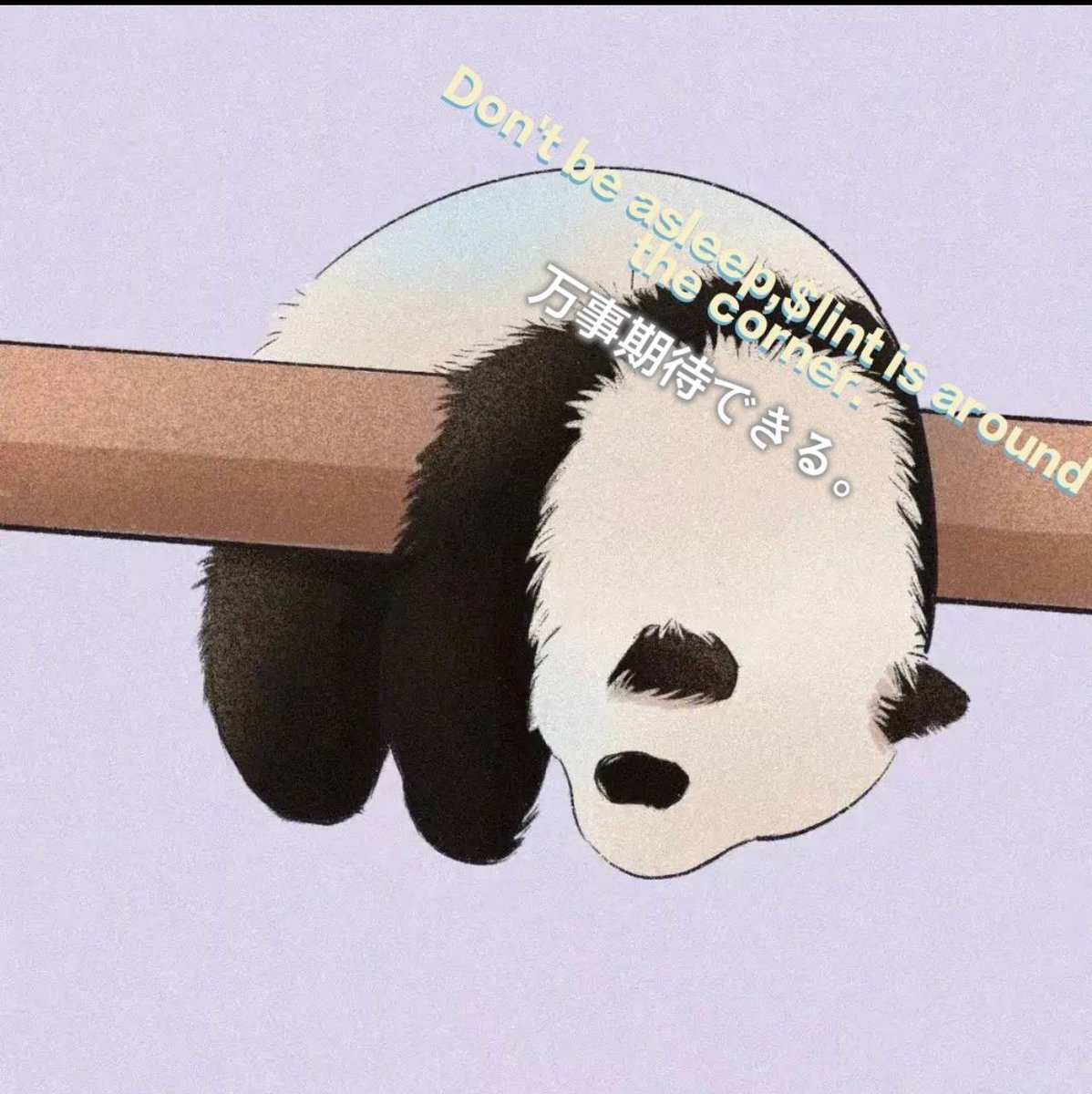 transparentgemi's tweet photo. @SappyBets @LucaNetz @pudgypenguins @wabdoteth @sappyseals 🤩🤑 Lets go! 🚀 https://t.co/jsZEyzUmm0