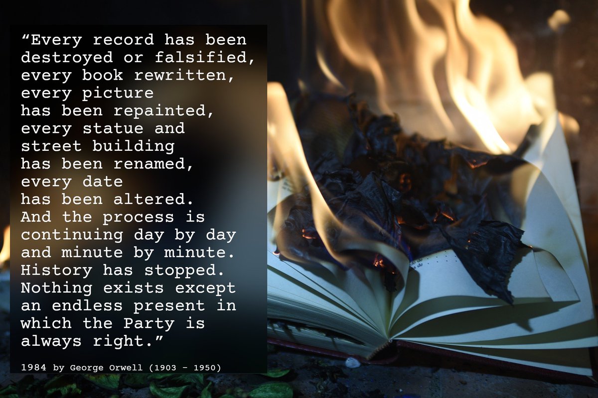 CJP the Panda tweet media