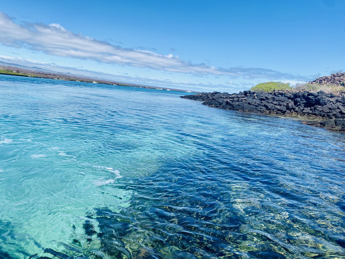 #OportunidadLaboral para proyecto de agua y saneamiento en #Ecuador  linkedin.com/posts/redaguae…