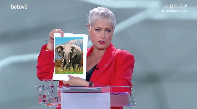 Activistes Comuns tweet media