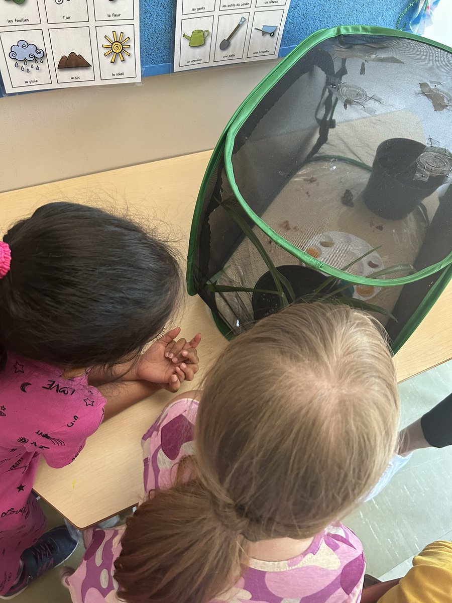Mrs_Whitesell's tweet photo. We went to K2 for a visit to check out their butterflies! https://t.co/0CjtISpktp