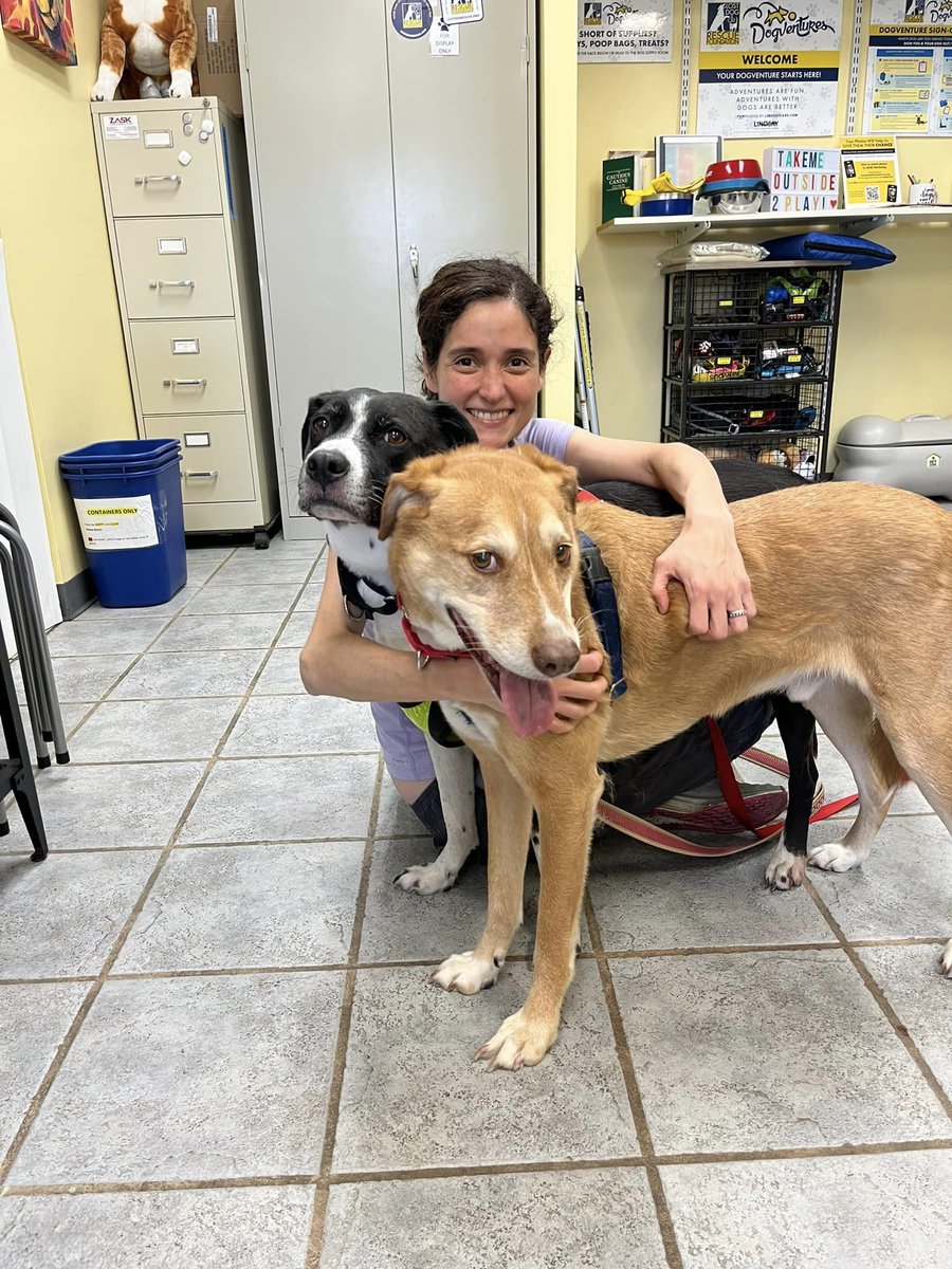 What's better than one sweet, calm, polite, affectionate dog who's  house- and crate-trained? TWO of them! Foster bonded seniors Starsky and Hutch and get double the love. They are even cuter when they ask for a group hug. #tlctuesday #dogsoftwitter #adopt
ow.ly/ekEj50OuVO6