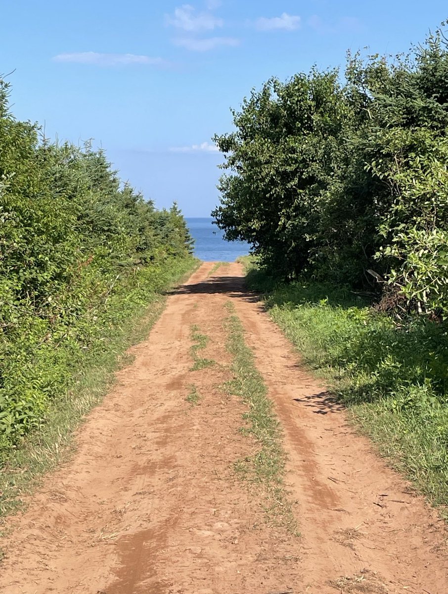 Day 16: ordinary beauty #ocsbPhotoChallenge #ocsbArts