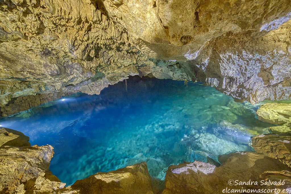 Caminomascorto's tweet photo. Cenote Chihuán, Yucatán
👉🏽https://t.co/1khD0DD2vW
#cenotesyucatan #cenotesmexico #cenotes #cenoteando https://t.co/DnboA1eKX1