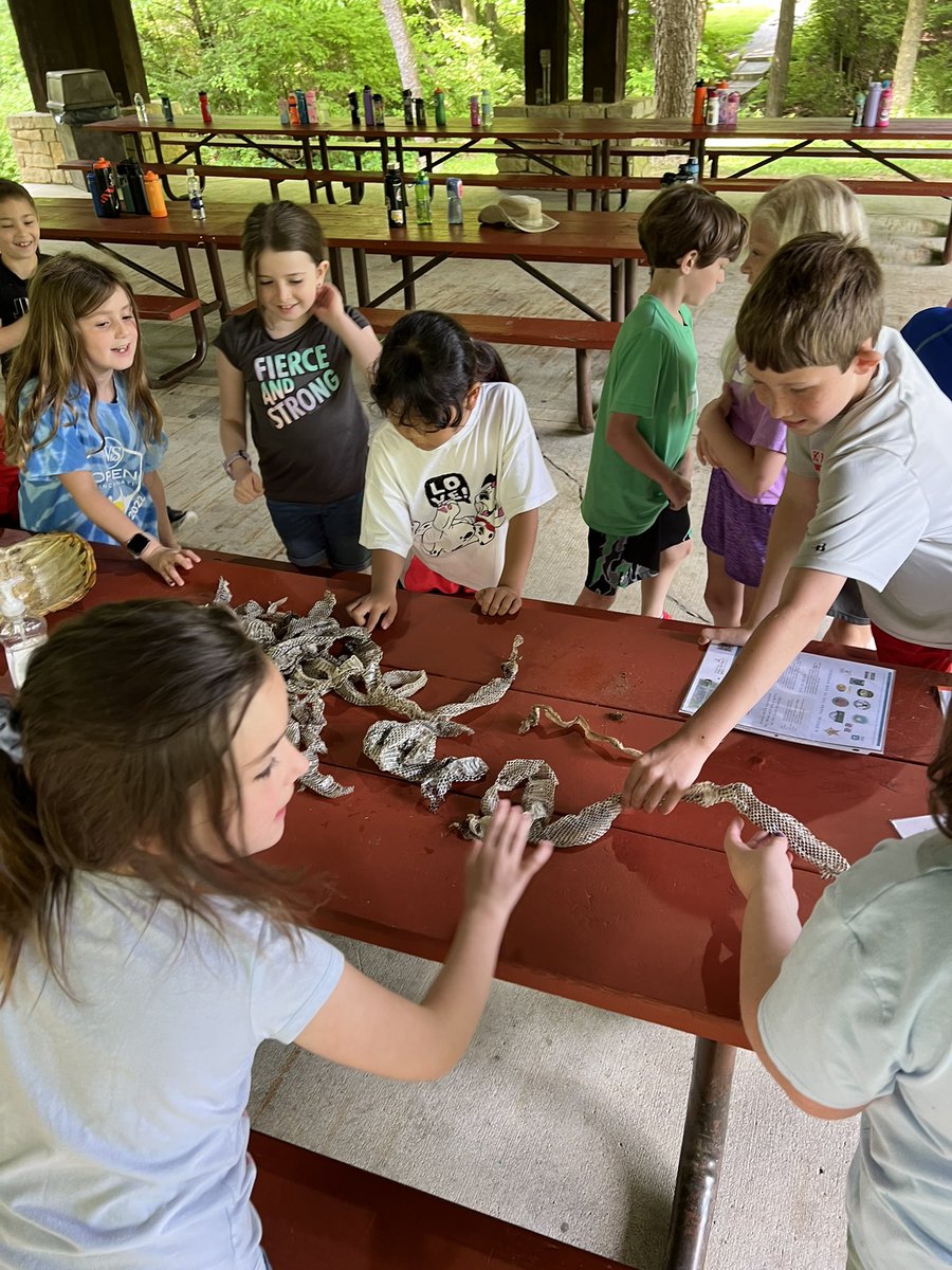 Mrs. Thomas's Tweets tweet media