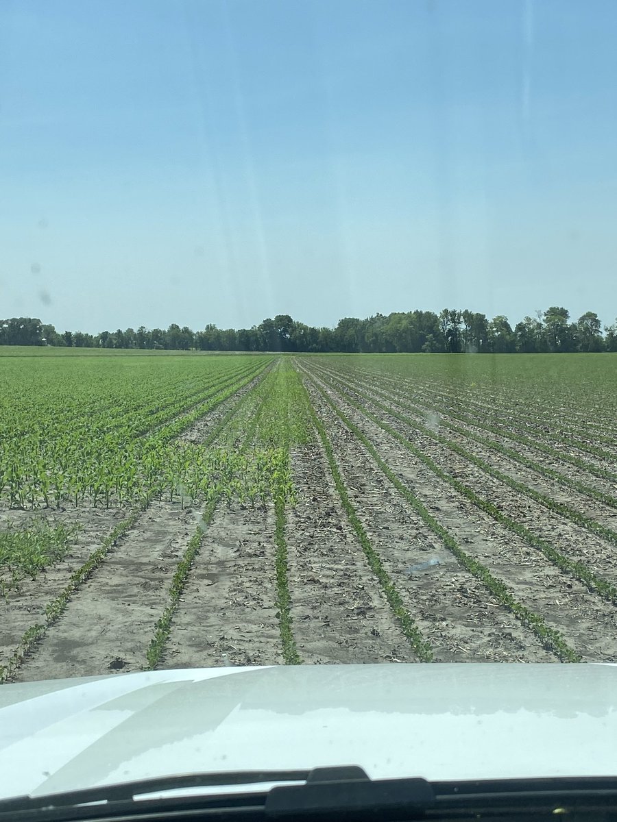 If you have ever questioned a soil applied residual. Mistakes make a believer. <a href="/MMServiceFS/">M&M Service Company</a>