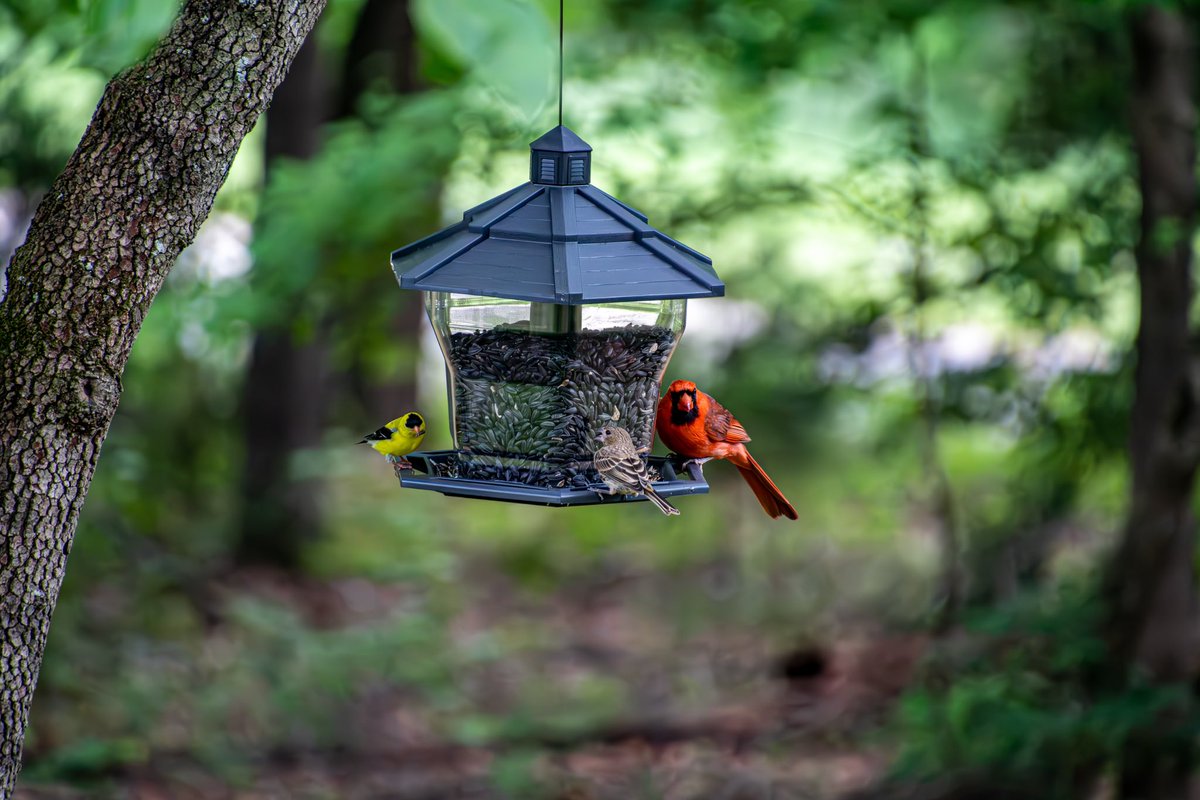 You know you’re getting older when you sit around and take pictures of animals, birds and plants lol