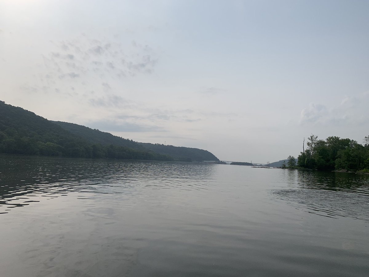 Luanne Steffy tweet media