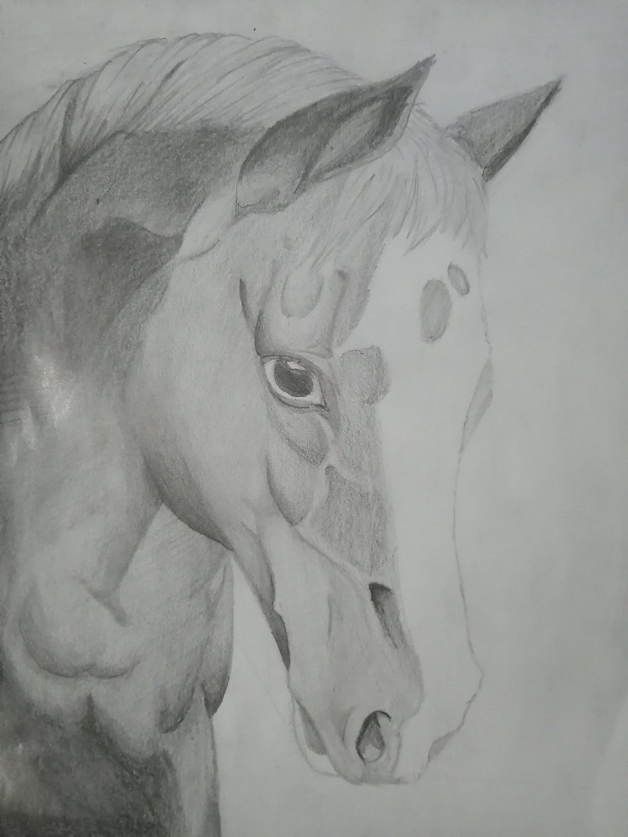 Julius_Ars's tweet photo. #handmadedrawing #traditionalart https://t.co/Oo3gx707v2