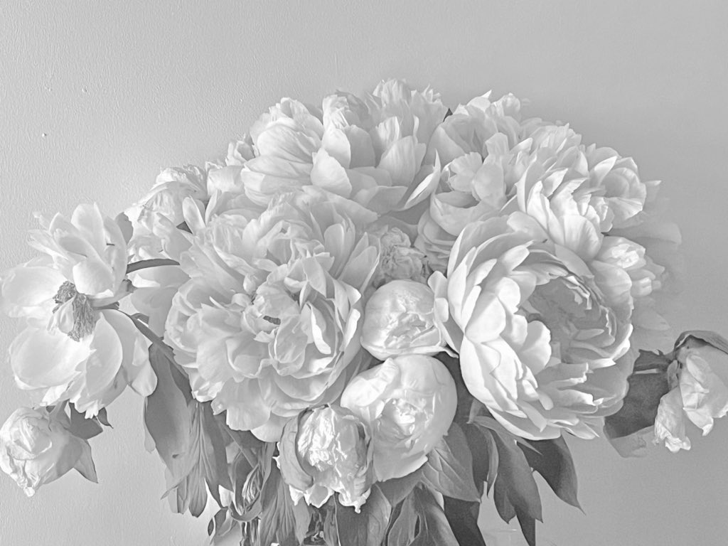 officesevenn's tweet image. 