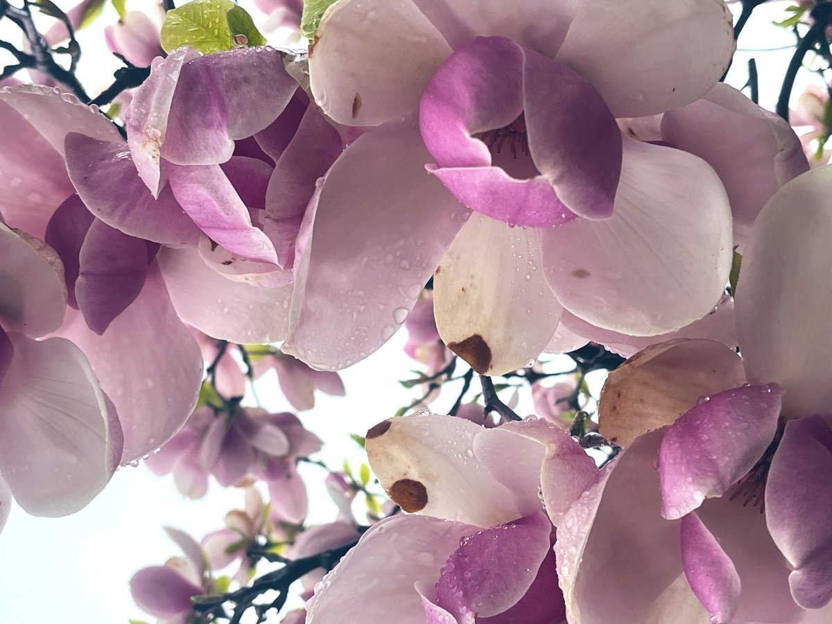 officesevenn's tweet image. 