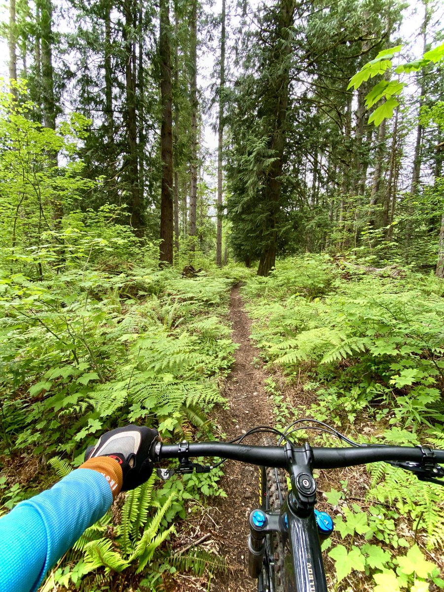 Woods ride.. Trail: Crosscut.. Birdsview Riding Area,, 
#Skagit