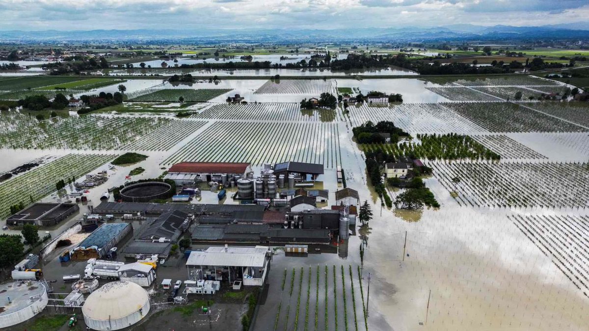 PGDynes's tweet photo. At least 10 million fruit trees were destroyed by the floods in #Italy The aid package has risen from €20 million to €2 billion. You can’t eat digital fiat currency. https://t.co/0s418gjC3F